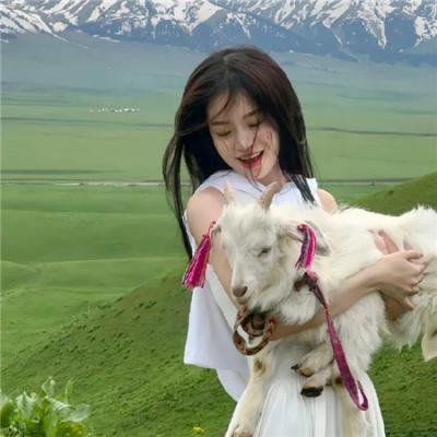 速度与激情：特工飞车手第二季